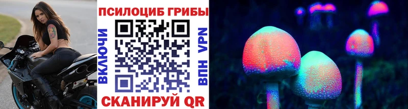 Псилоцибиновые грибы GOLDEN TEACHER  Грозный 