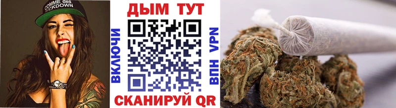 Марихуана Amnesia  mega   Грозный 